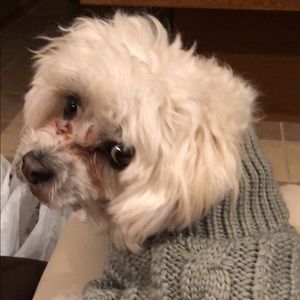 Meet your Posher, Carlos